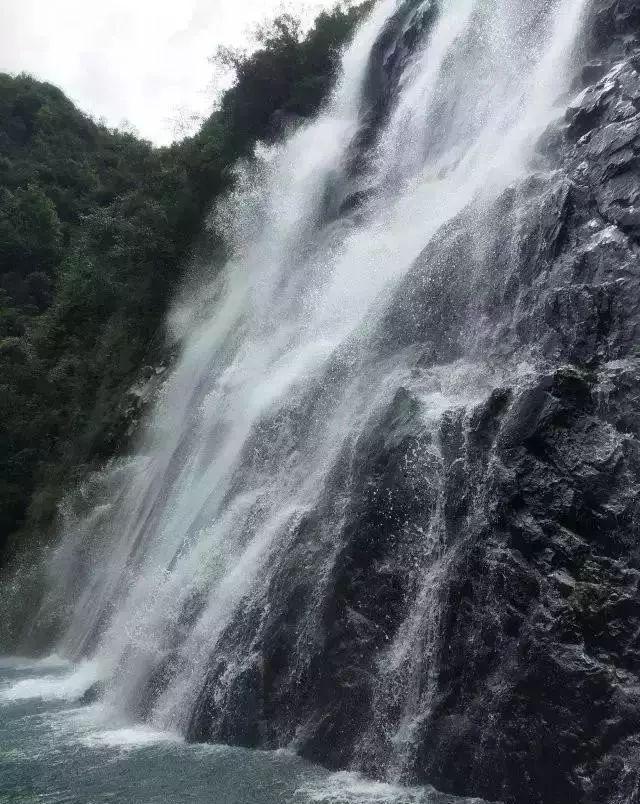 雷竞技比分